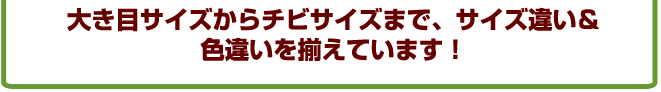 �傫�ڃT�C�Y����`�r�T�C�Y�܂ŃT�C�Y�Ⴂ���F�Ⴂ�𑵂��Ă��܂��I